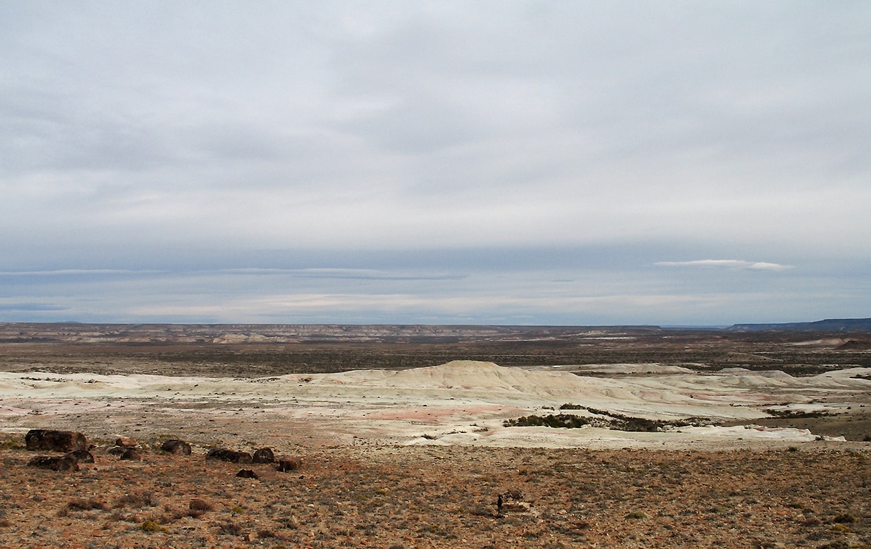 Окаменевший лес в Патагонии, image of landscape/habitat.