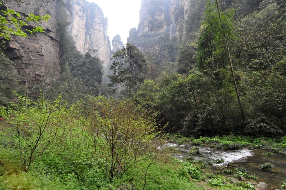 Долина ручья Золотой Кнут, image of landscape/habitat.