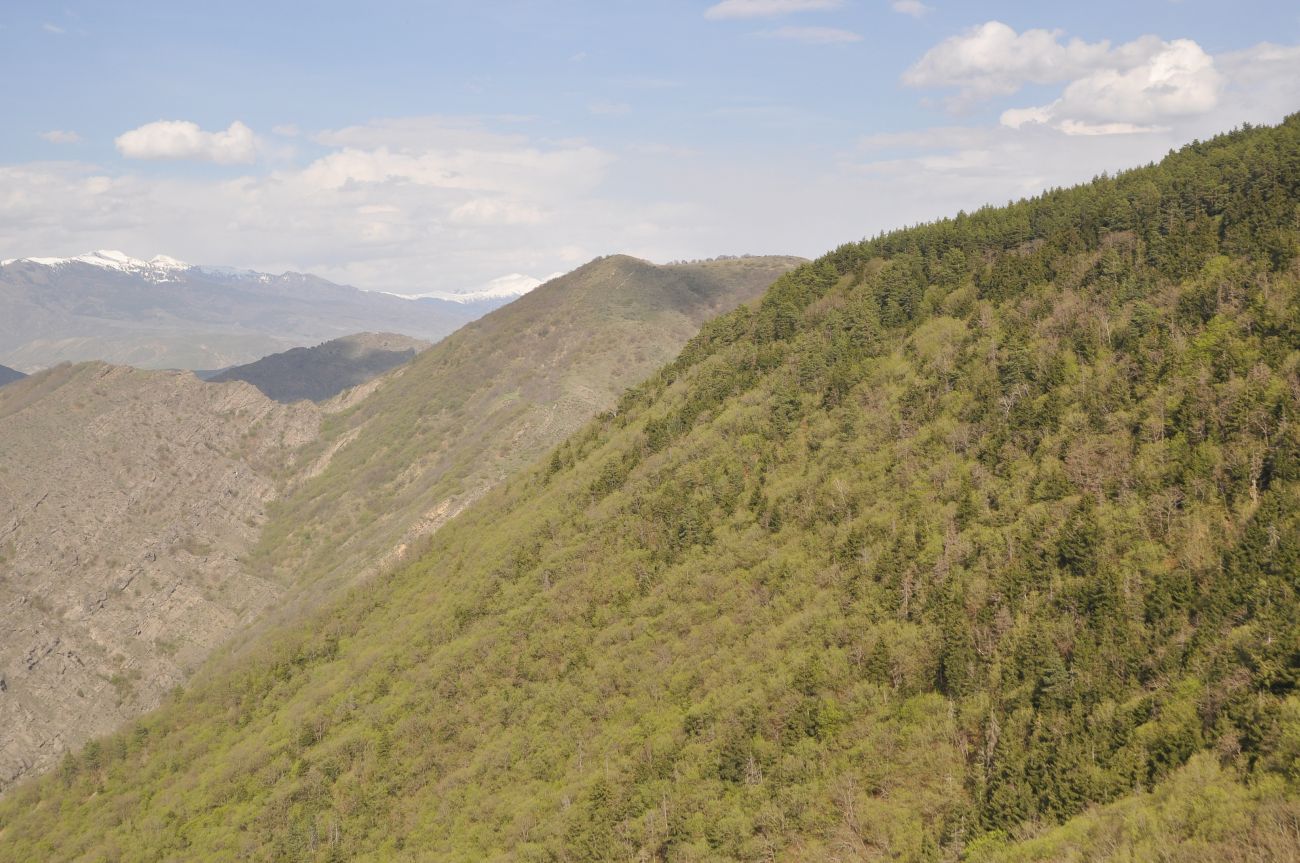 Окрестности монастыря Сапара, image of landscape/habitat.
