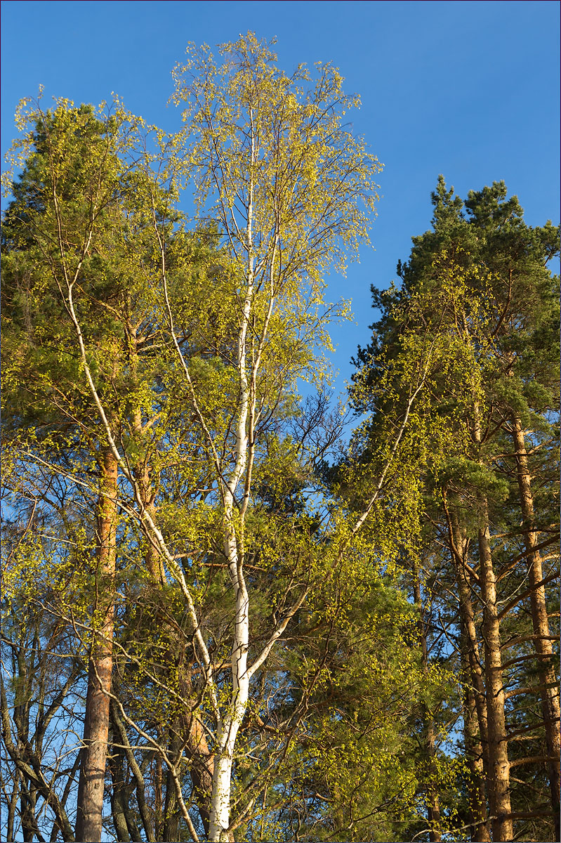 Мыс Дубовский, image of landscape/habitat.