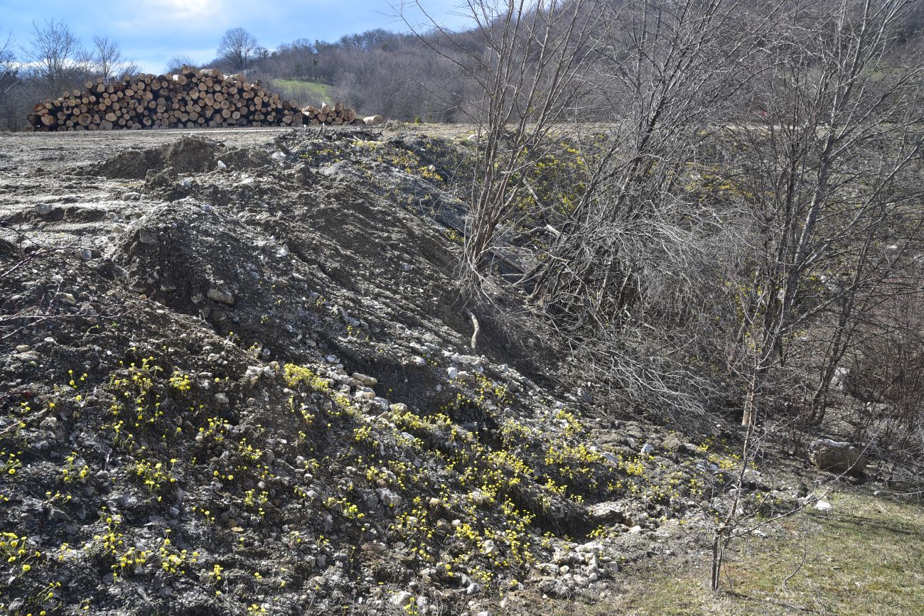 Карьер компании "Волма", изображение ландшафта.