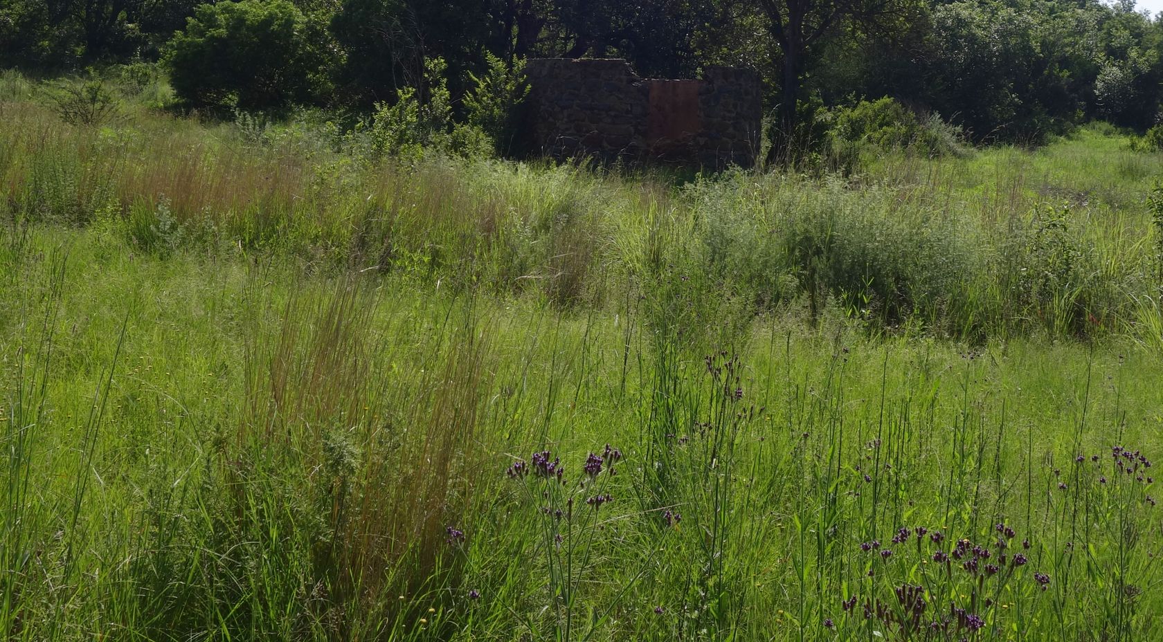 Клиприверсберг, image of landscape/habitat.