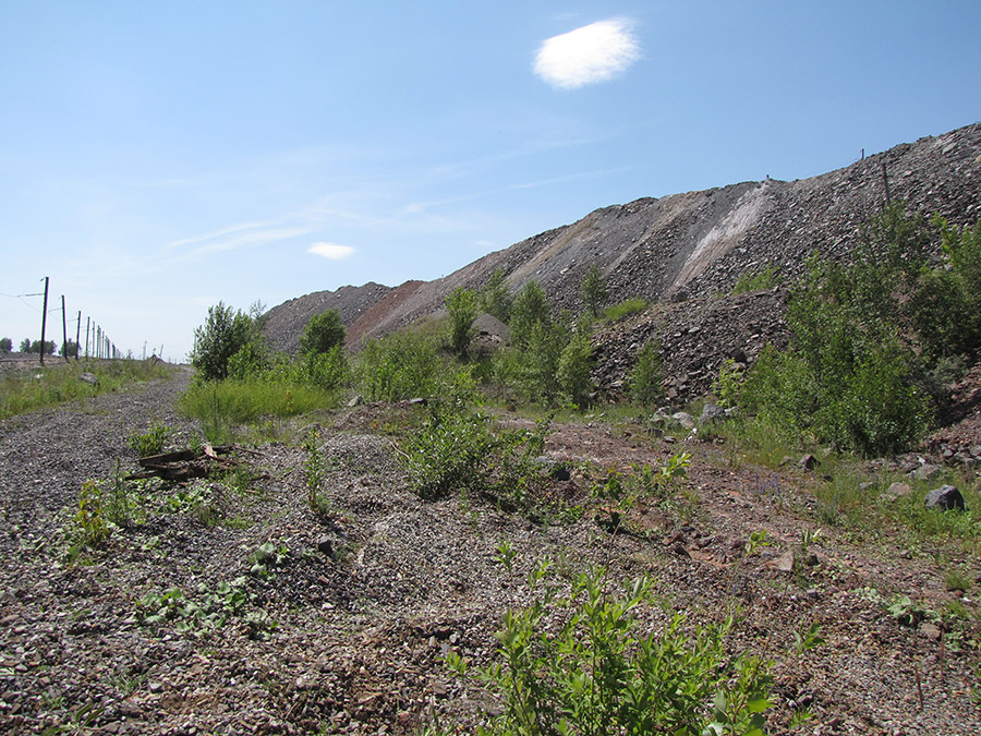 Кварцитный отвал ЛГОКа, image of landscape/habitat.