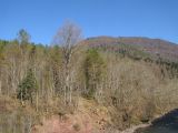 Image of landscape