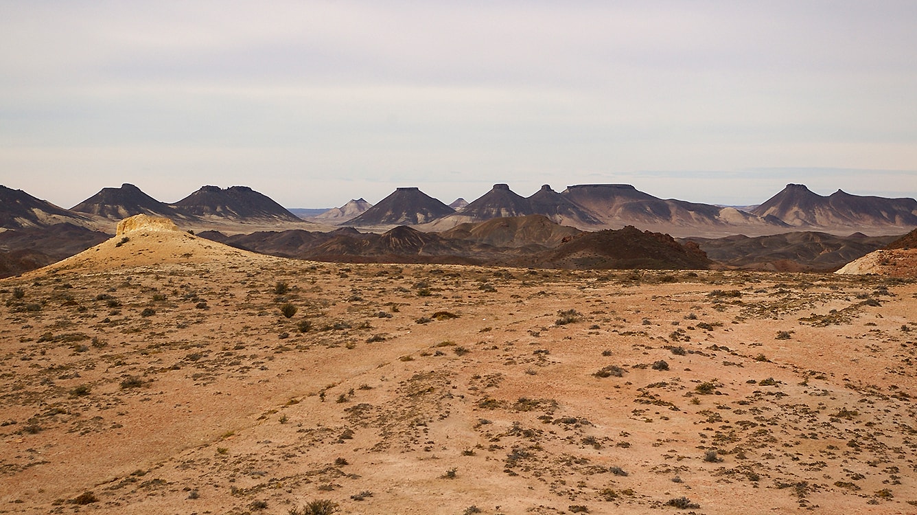 Окаменевший лес в Патагонии, image of landscape/habitat.