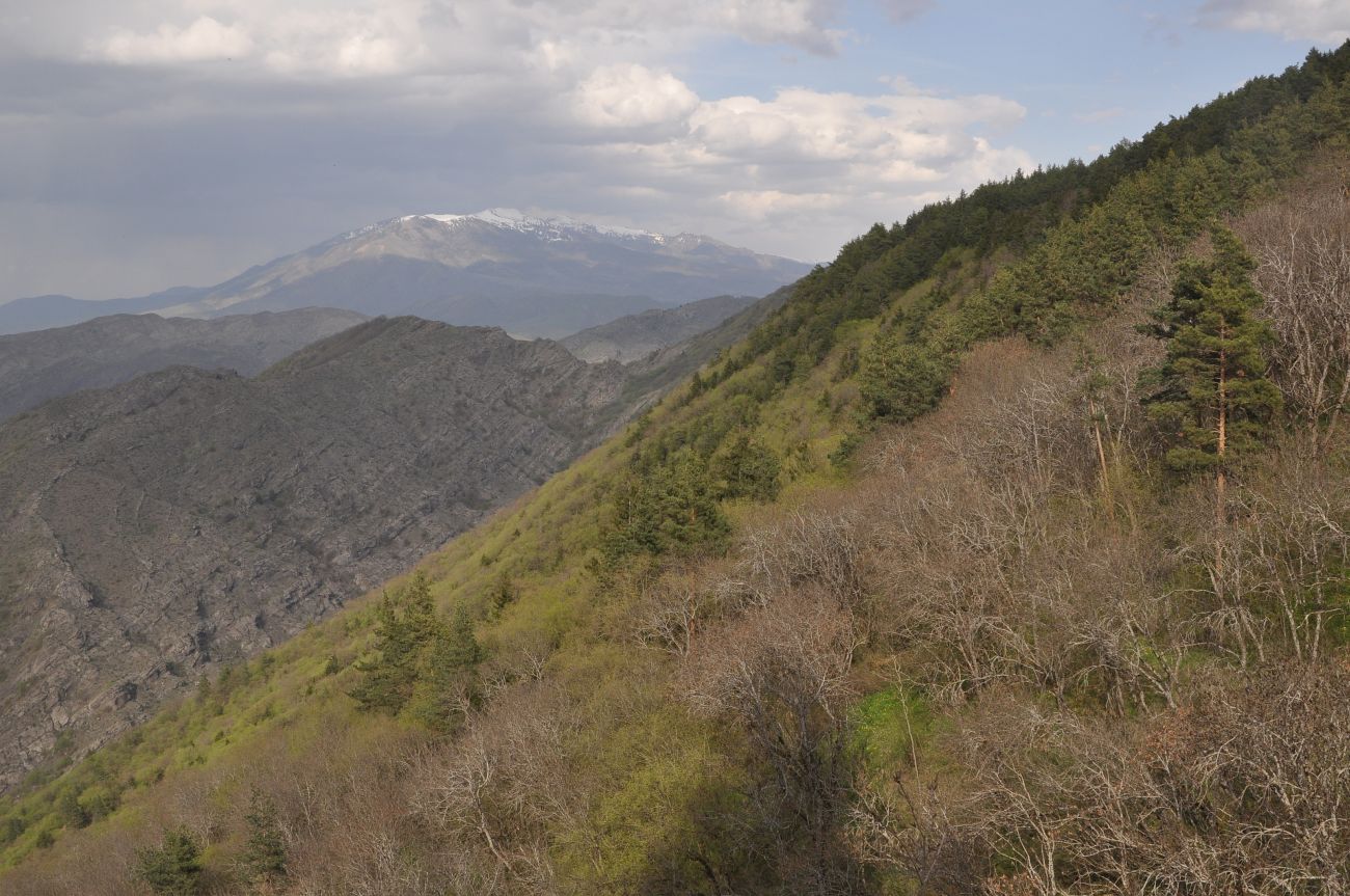 Окрестности монастыря Сапара, image of landscape/habitat.