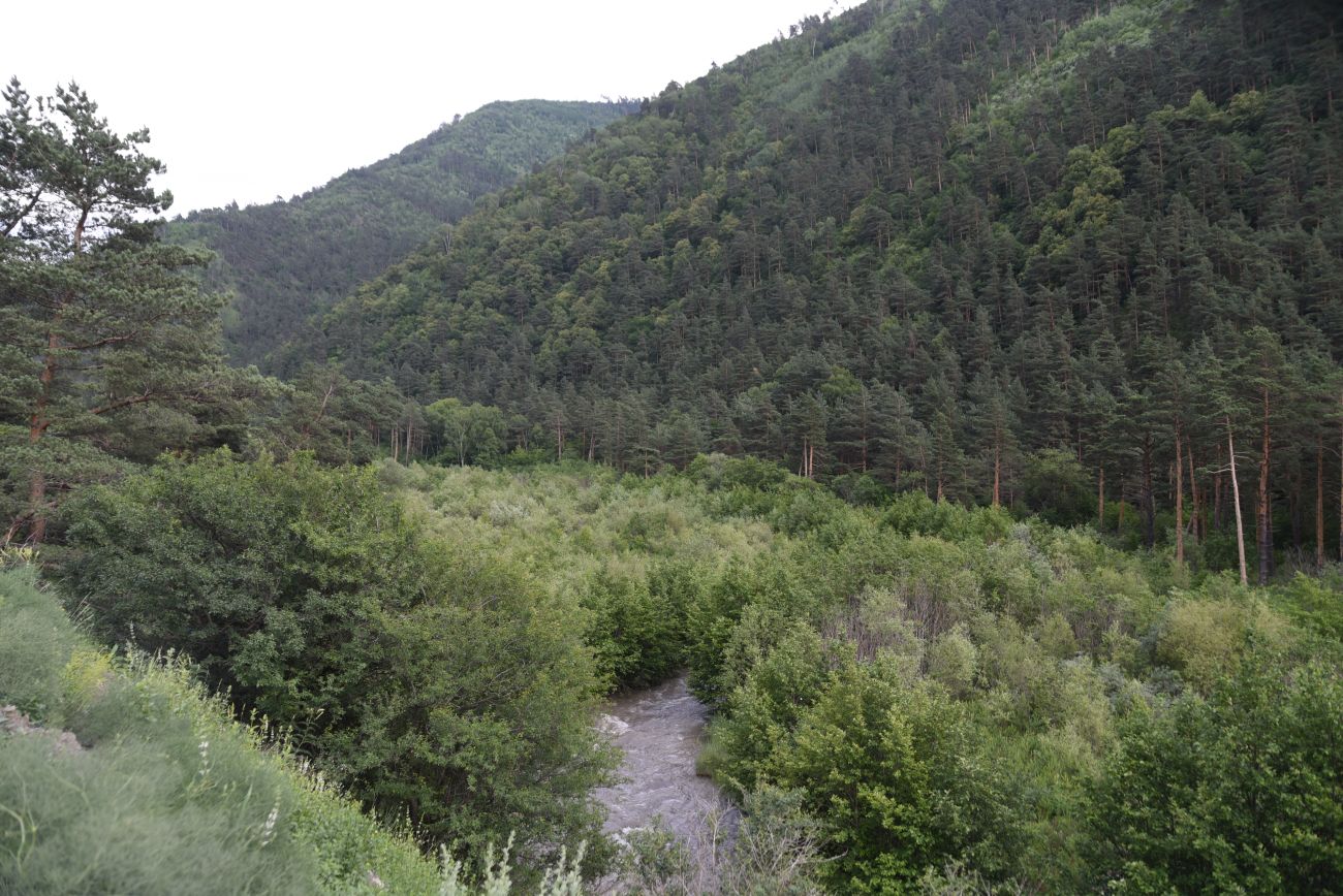 Нижнее течение реки Гулойхи, image of landscape/habitat.