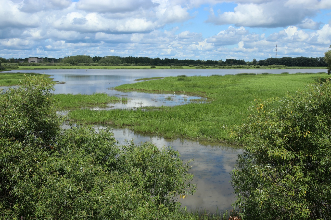 Окрестности музея «Витославлицы», image of landscape/habitat.