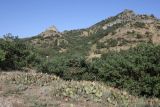 Image of landscape