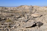 Горы Улькен-Богуты, image of landscape/habitat.