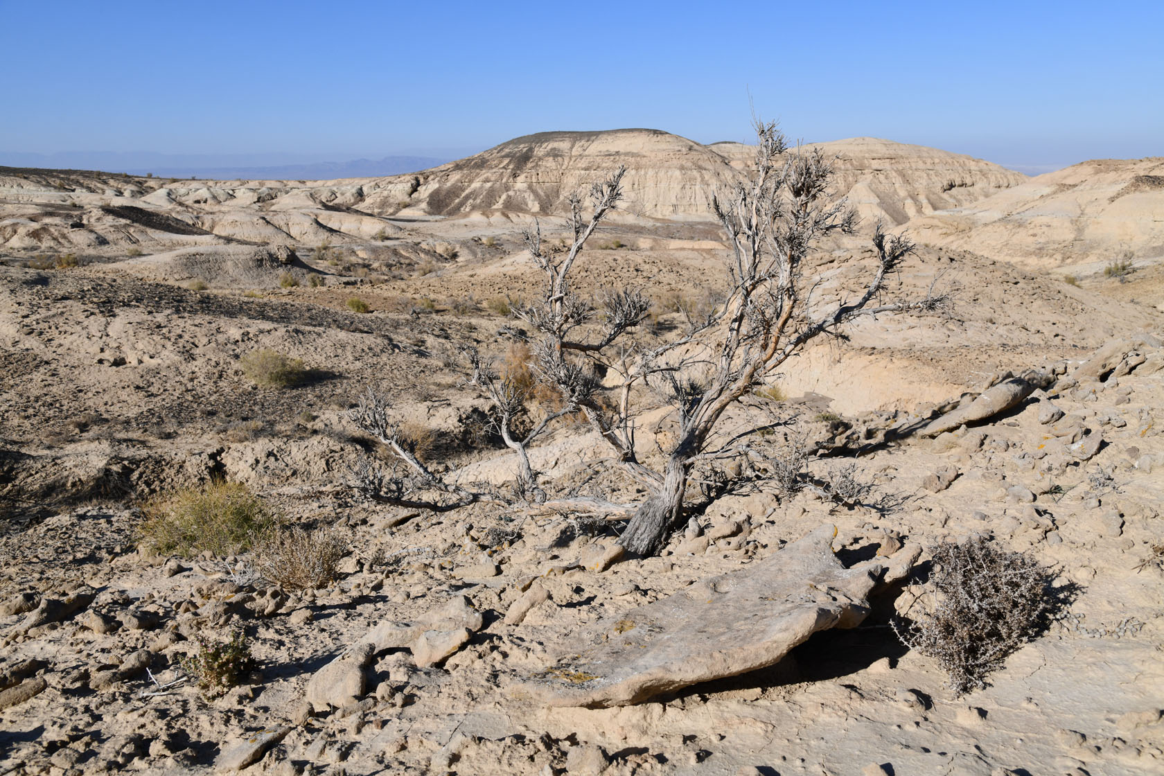 Горы Улькен-Богуты, image of landscape/habitat.