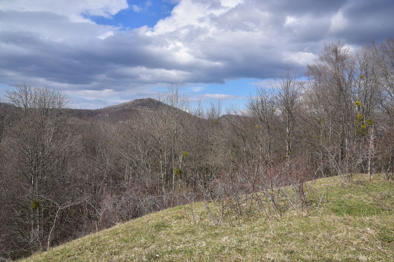 Карьер компании "Волма", изображение ландшафта.