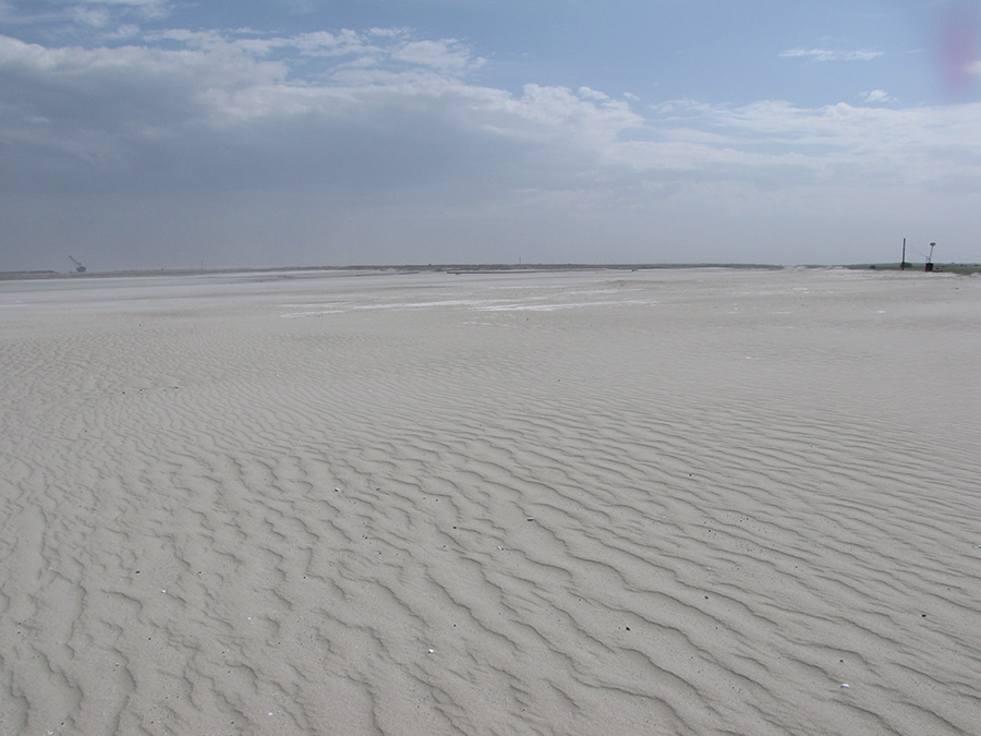Пульпохранилище ЛГОКа, image of landscape/habitat.