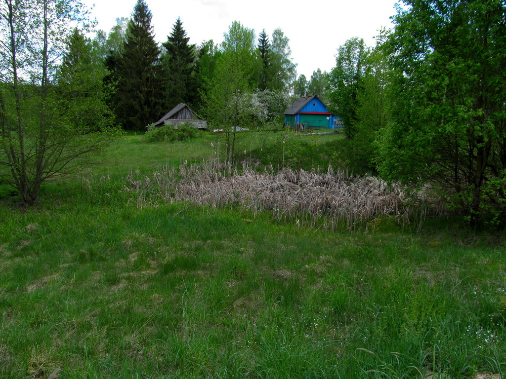 Сетевино, image of landscape/habitat.
