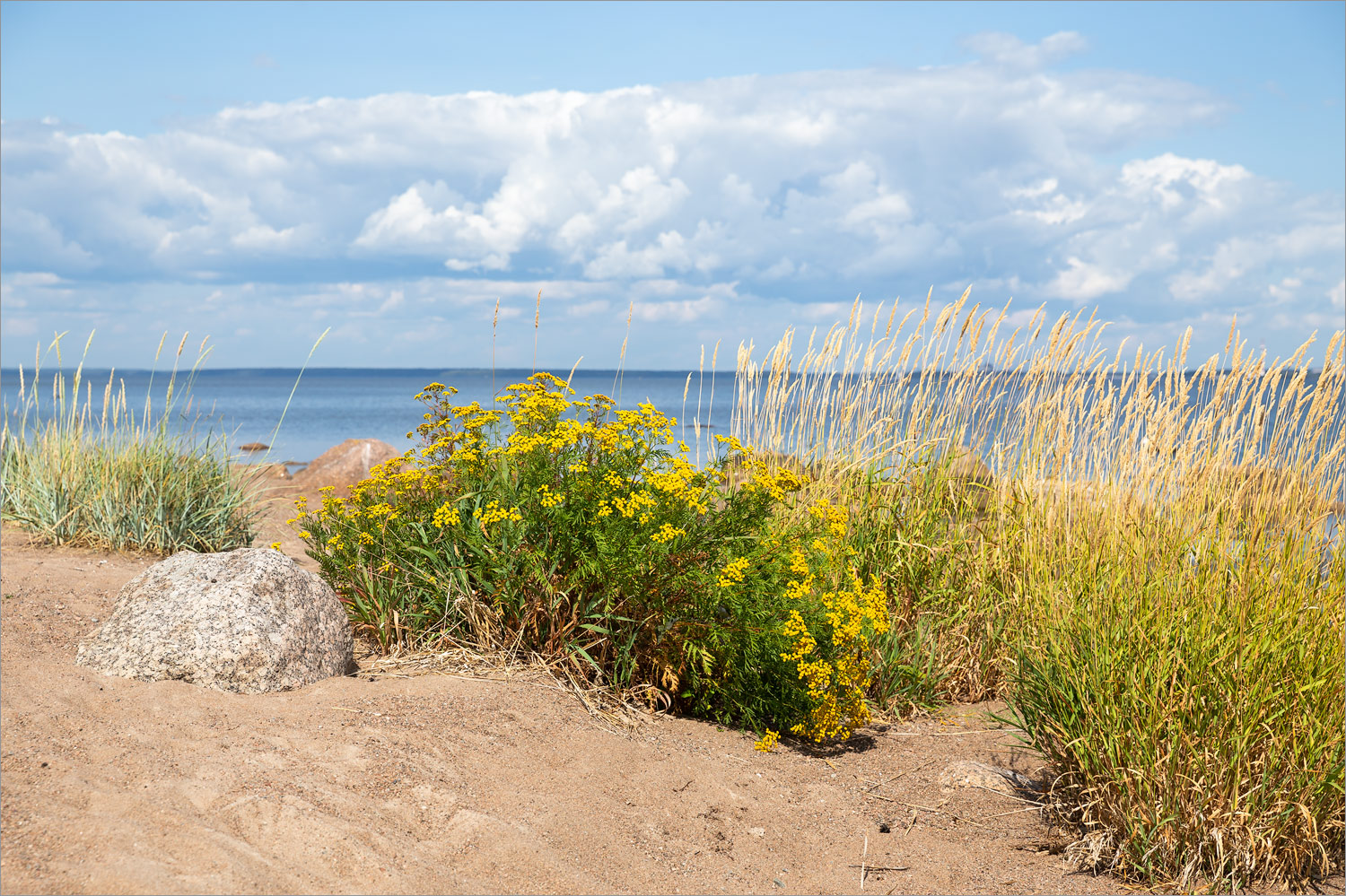 Киперорт, image of landscape/habitat.