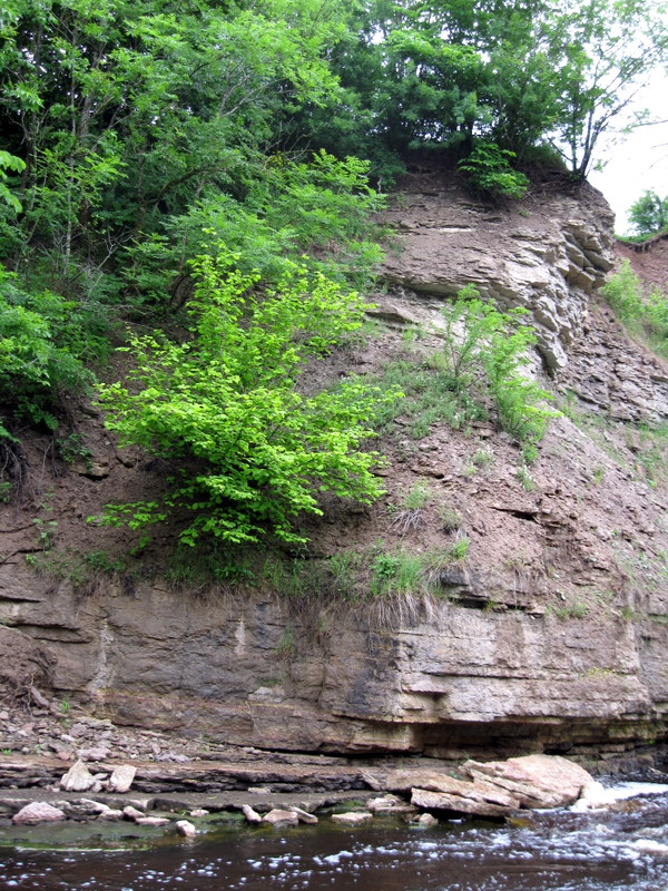 Каньон реки Лавы, image of landscape/habitat.