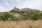 Image of landscape