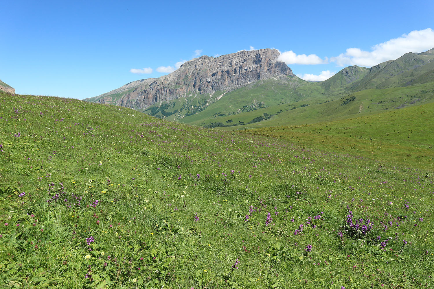 Перевал Курноят, image of landscape/habitat.