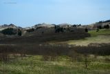 Image of landscape