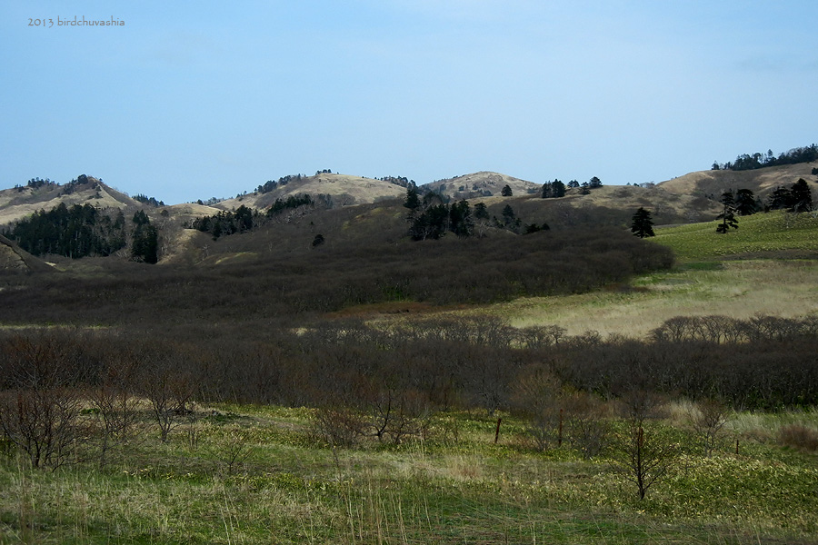 Шикотан, изображение ландшафта.