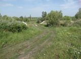 Пульпохранилище ЛГОКа, image of landscape/habitat.