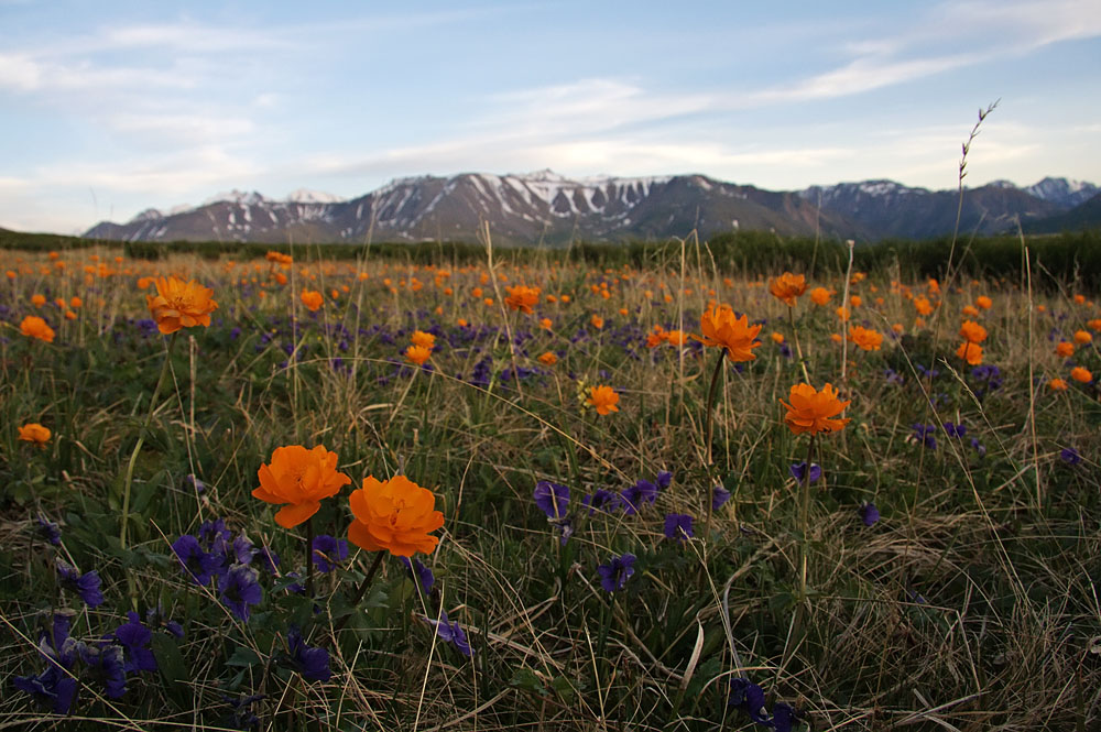 Ештыкольские озёра, image of landscape/habitat.