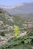 Image of landscape