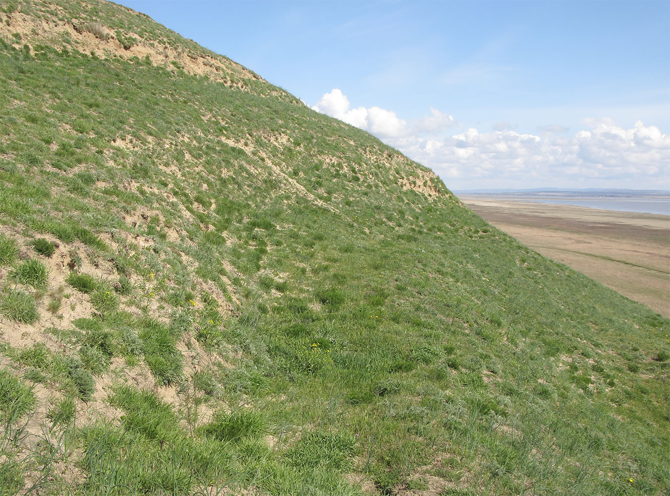 Витязевский лиман, image of landscape/habitat.