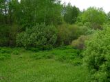 Сетевино, image of landscape/habitat.