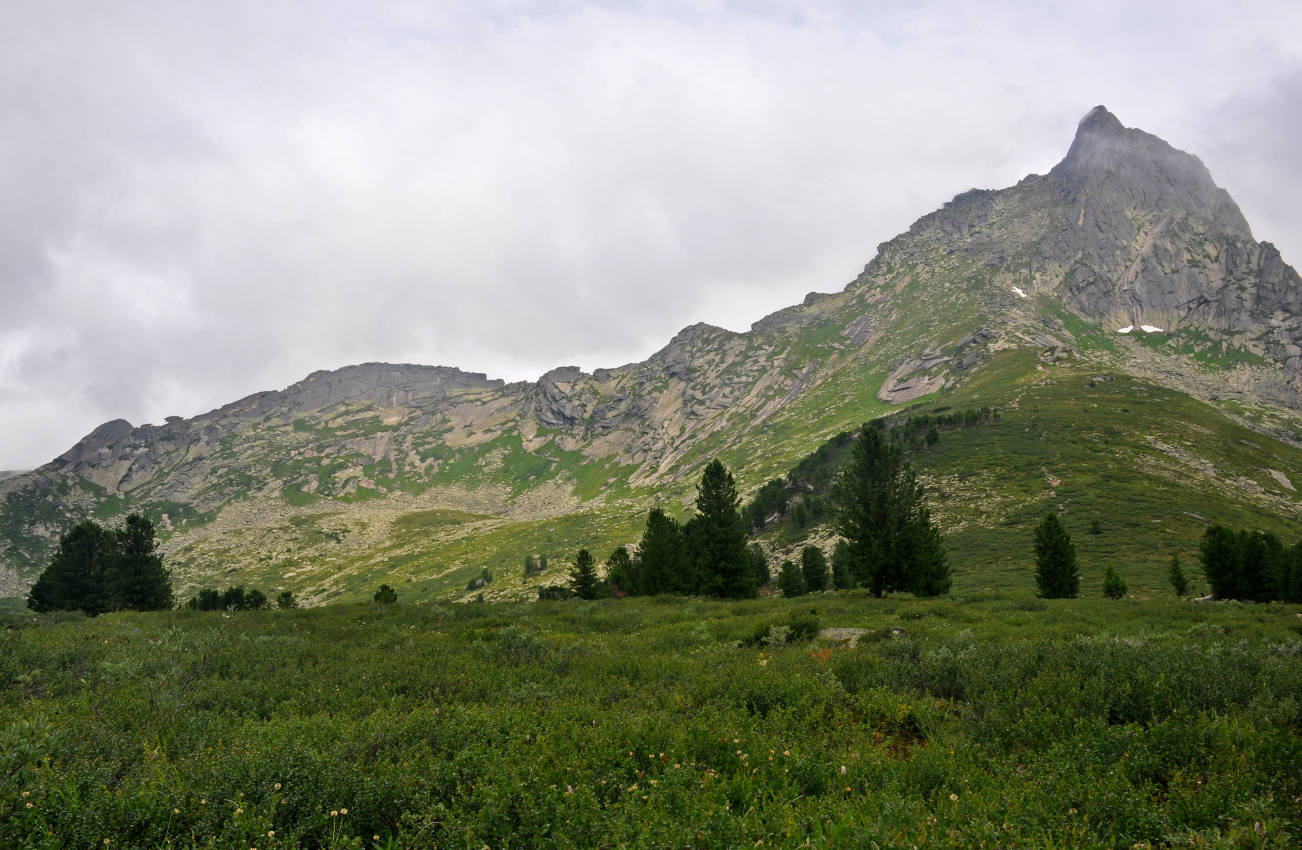 Гора Птица, изображение ландшафта.