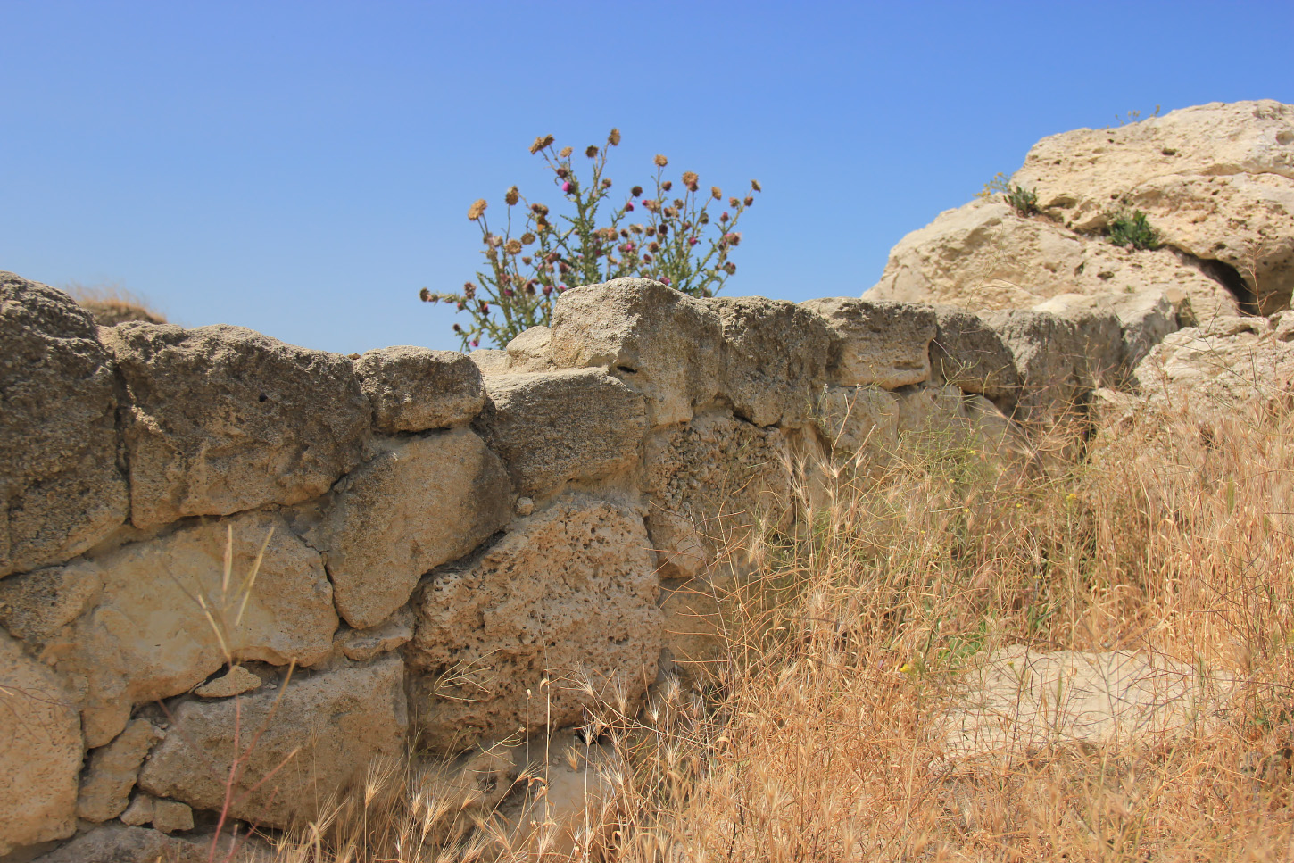 Керчь, image of landscape/habitat.