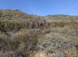 Image of landscape
