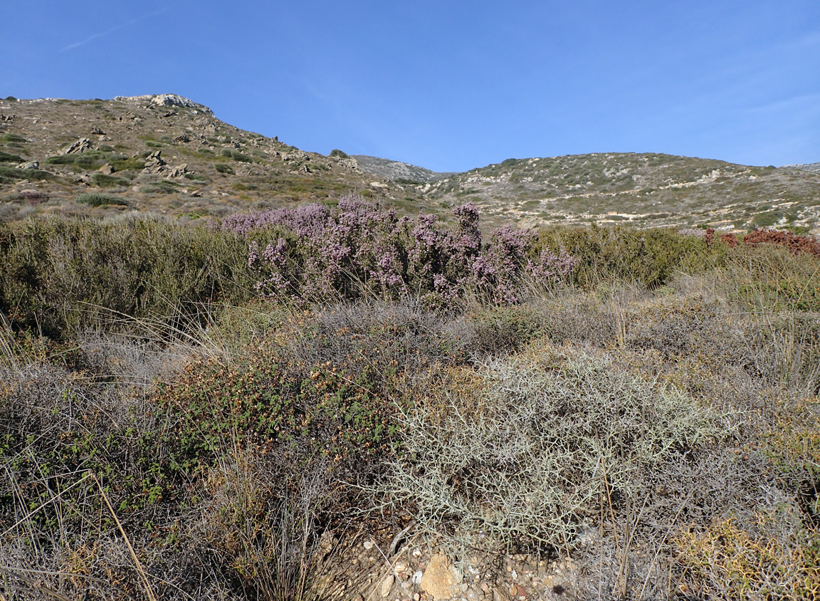 Остров Парос, image of landscape/habitat.