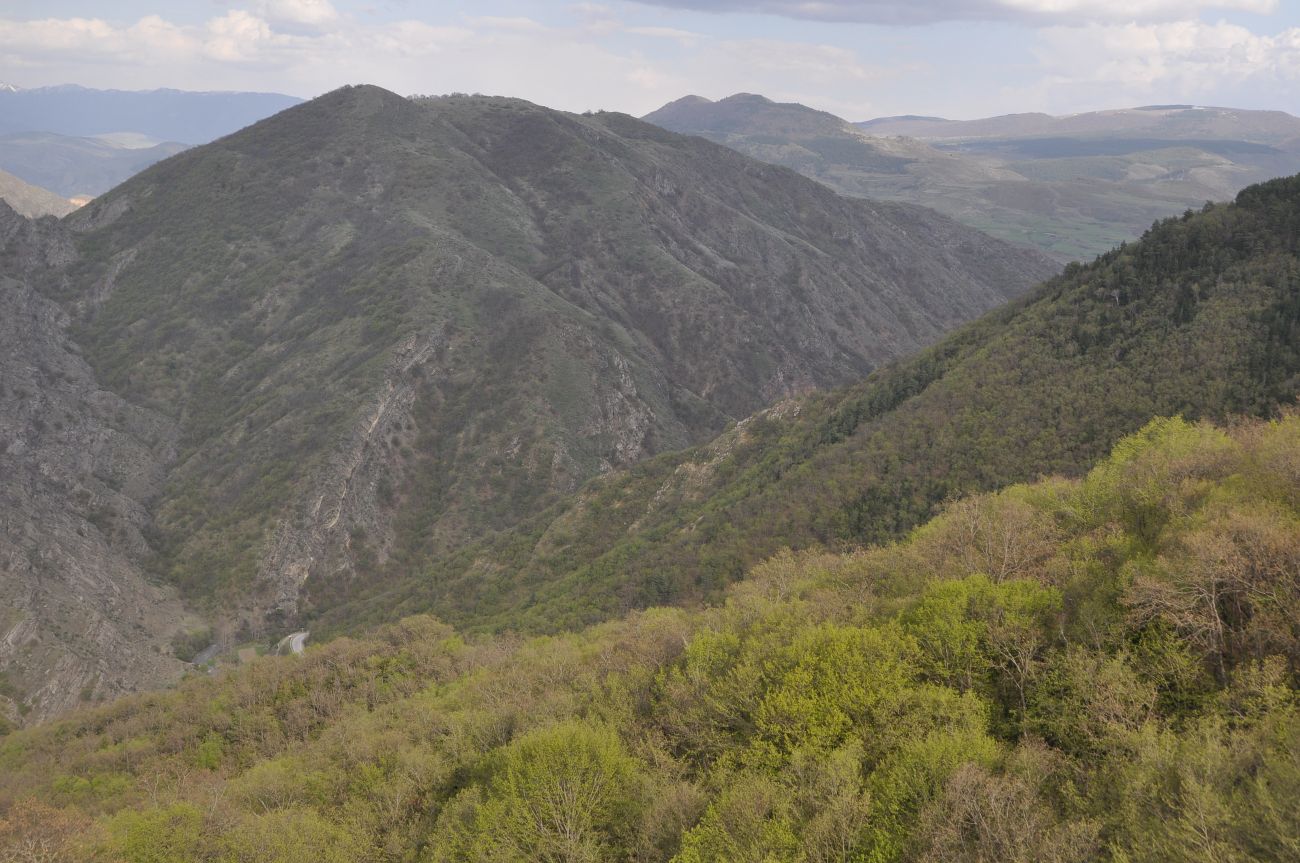 Окрестности монастыря Сапара, image of landscape/habitat.