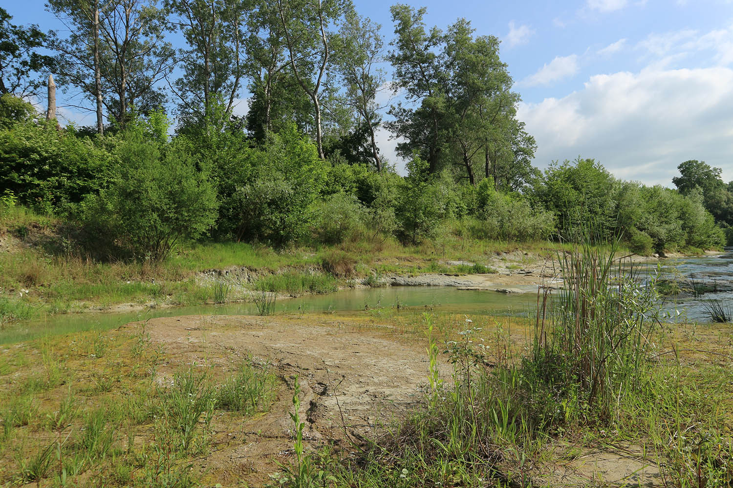 Река Неберджай, image of landscape/habitat.