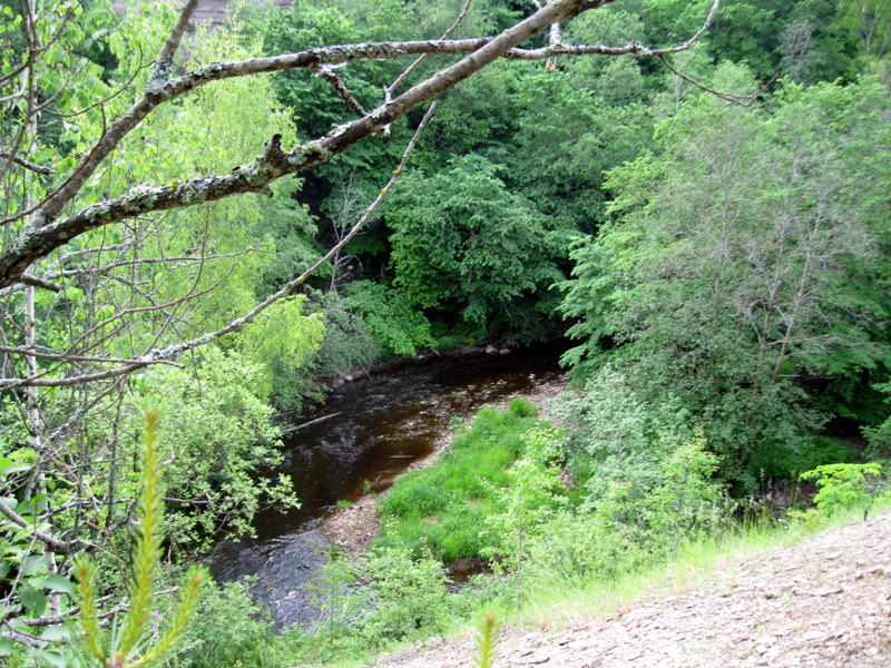 Каньон реки Лавы, image of landscape/habitat.