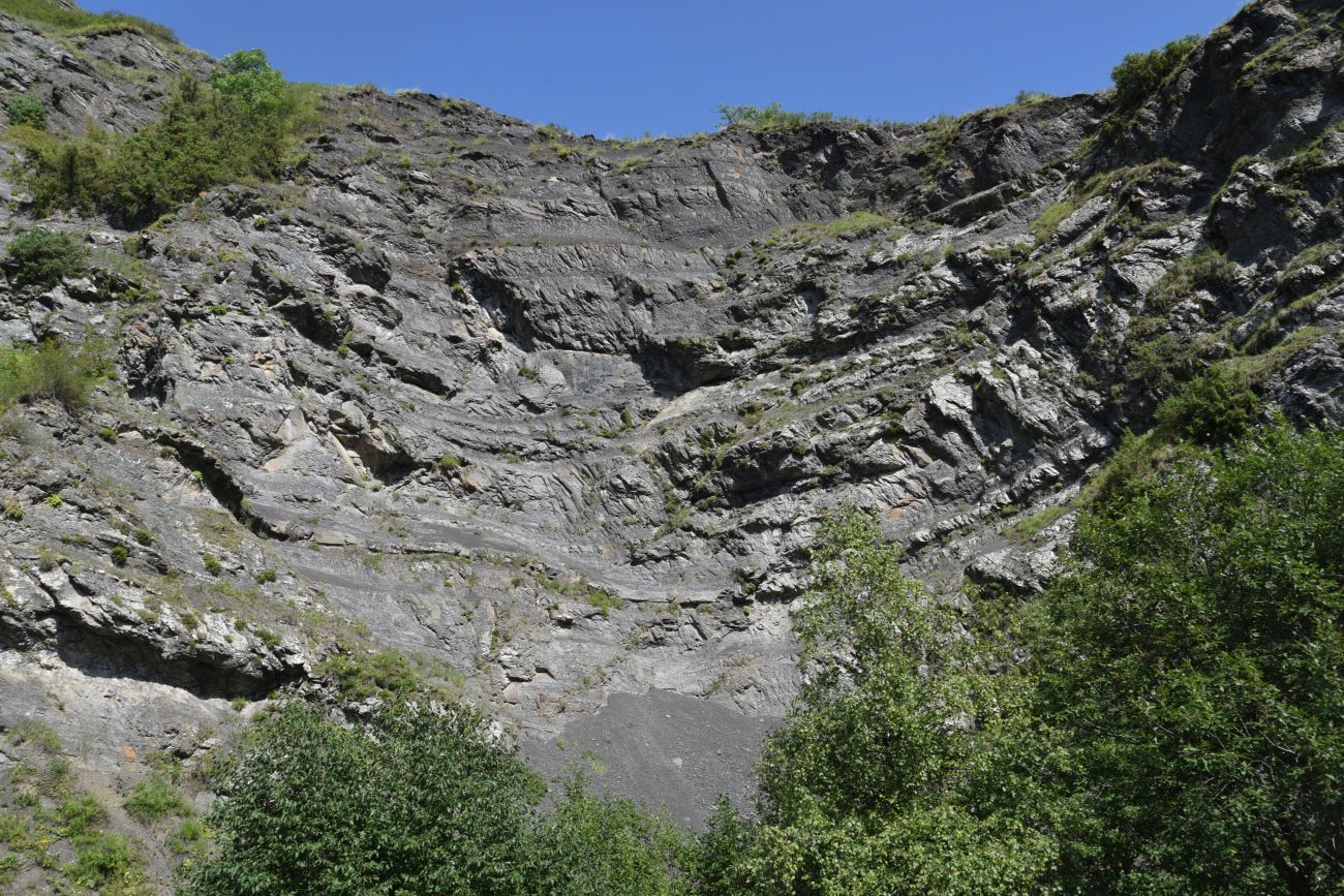 Выше водопада Цеси, image of landscape/habitat.