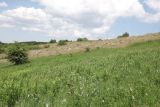 Image of landscape