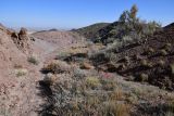 Image of landscape