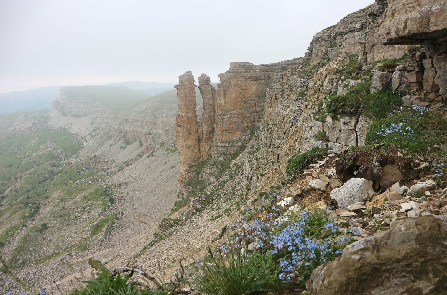 Большой Бермамыт, image of landscape/habitat.