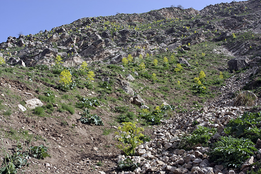 Ущелье Обикиик, image of landscape/habitat.