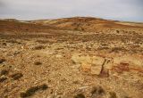 Окаменевший лес в Патагонии, image of landscape/habitat.