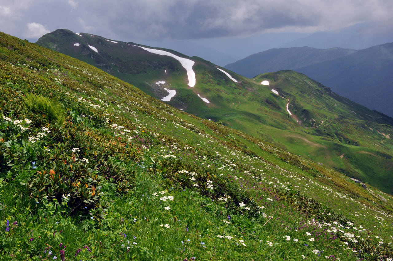 Урочище Каменная Поляна, изображение ландшафта.