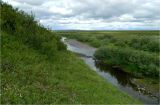 Воргашор, image of landscape/habitat.