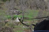 Image of landscape