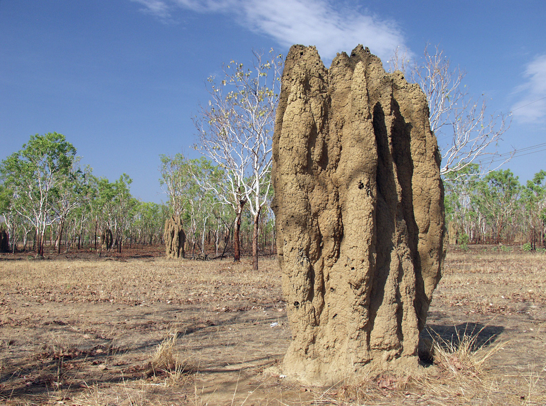 Kakadu, image of landscape/habitat.