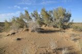 Landscape image