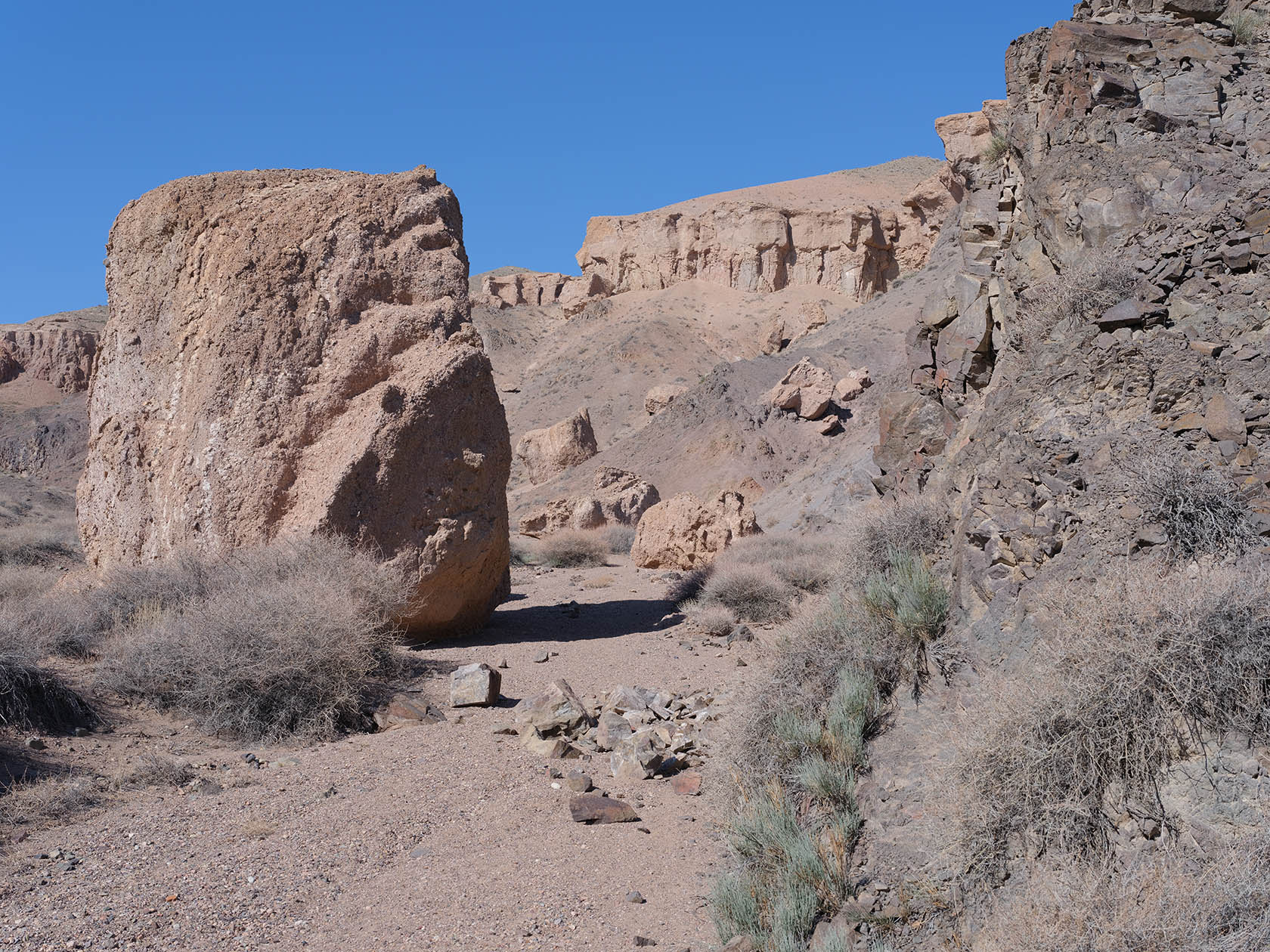 Чарын, image of landscape/habitat.