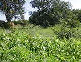 Image of landscape