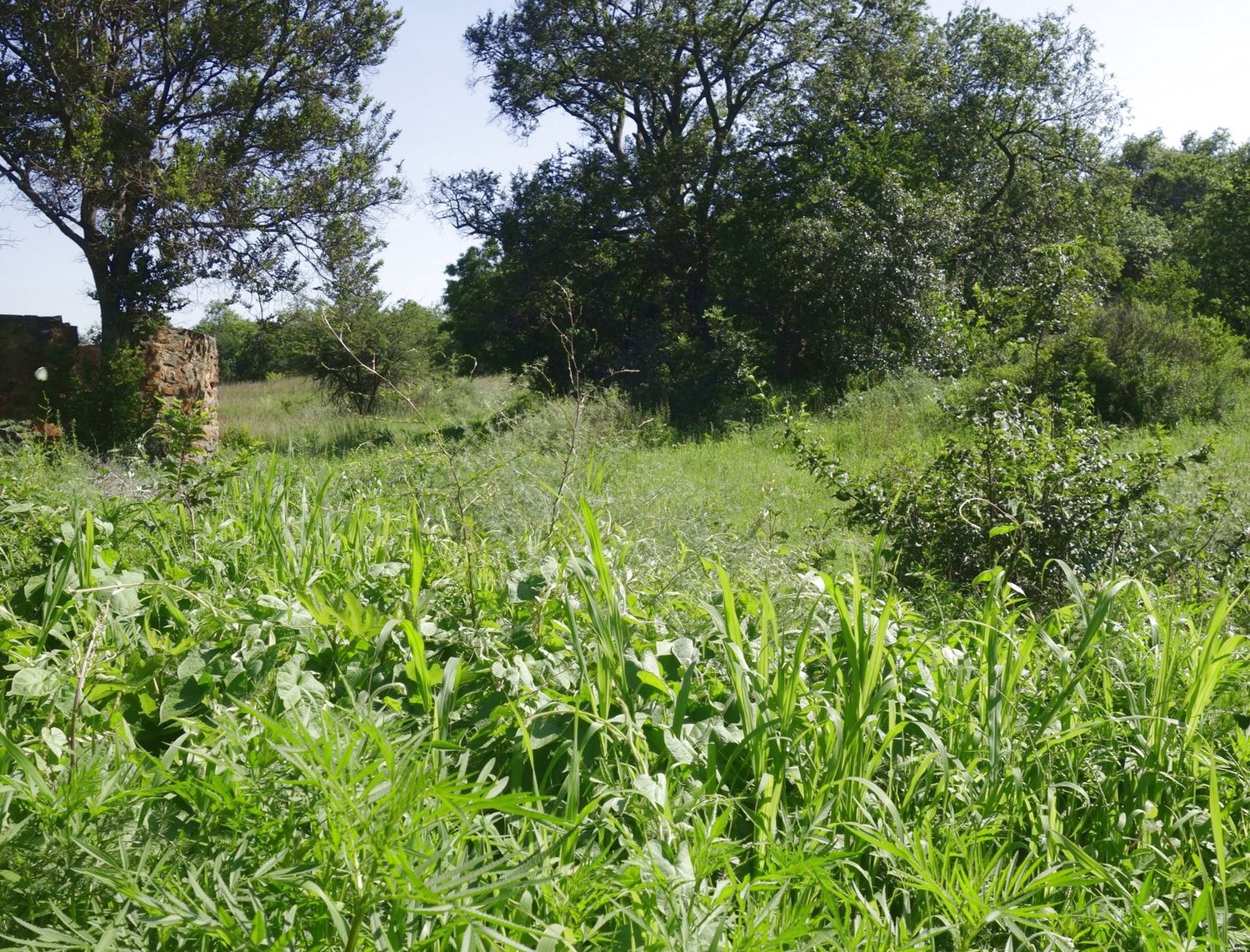 Клиприверсберг, image of landscape/habitat.
